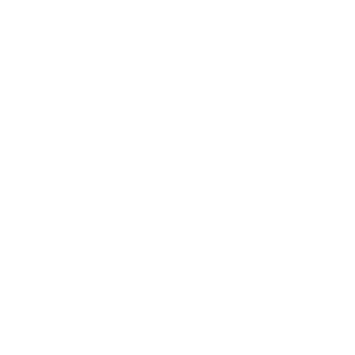 TOP 5 PRODUCT